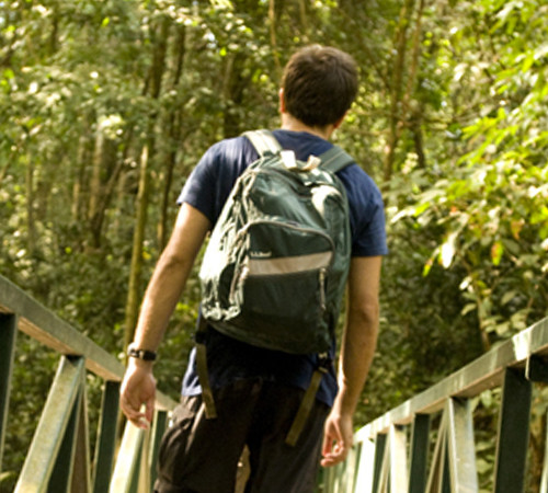 Rainforest in Costa Rica