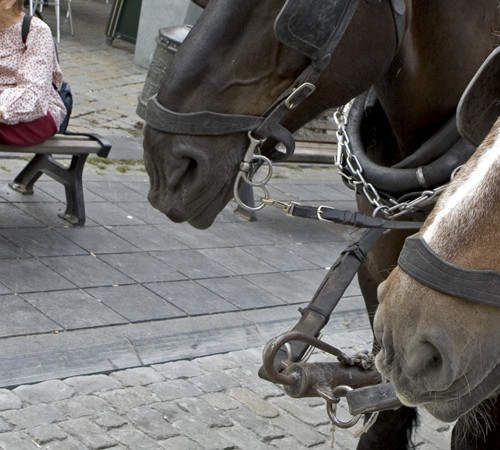 Historical district in Belgium