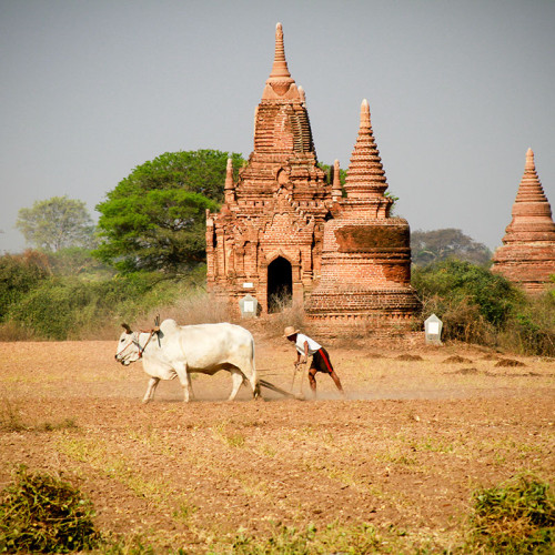 burma