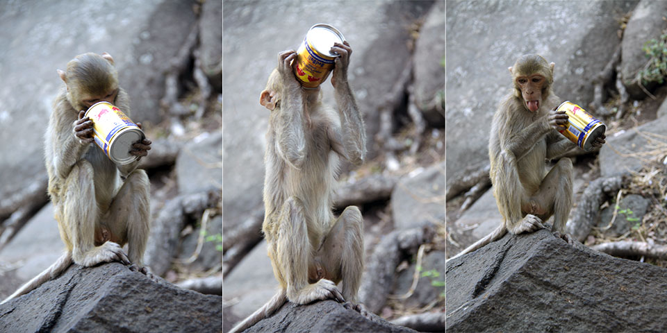 Chenxi Ouyang_George in Mount Popa-1