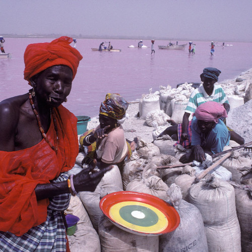 Pink-Lake-Salt-Harvest