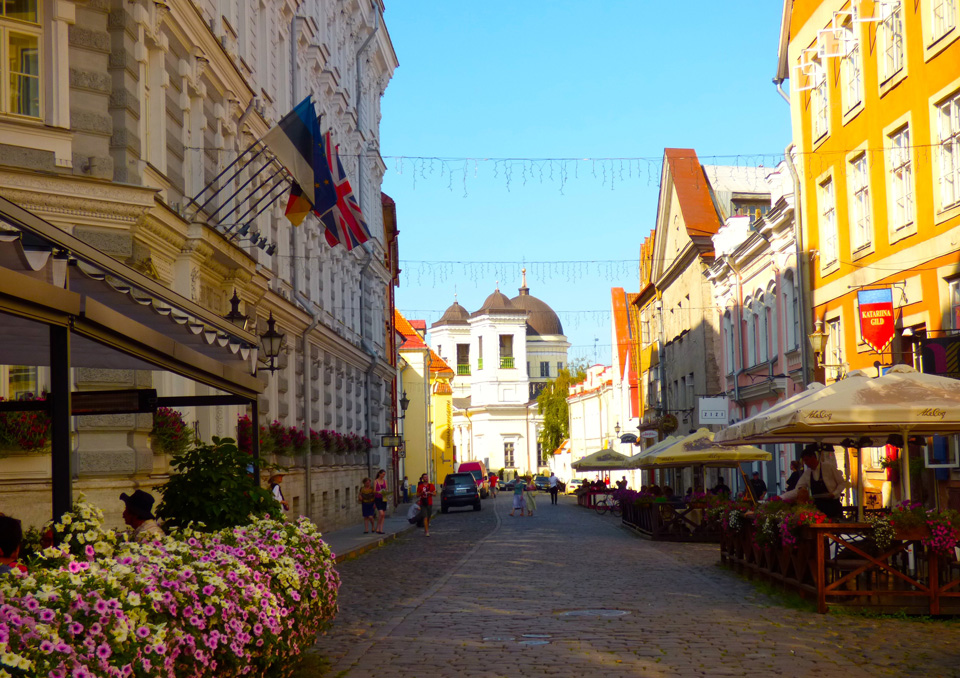 Cobblestone streets and pastel buildings in Tallinn. Photo by Cristina Thompson of University of Virginia.