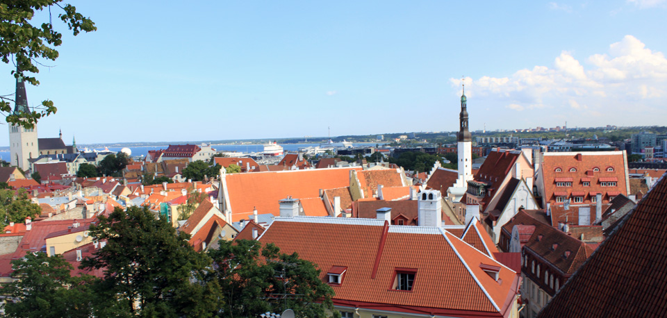 Red roofs of Tallinn, as seen from TK.