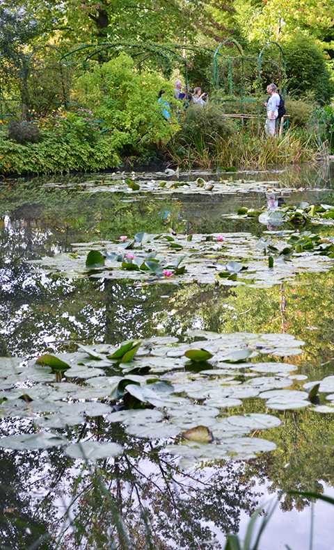 “The Lily pads and the reflection you got off the pond was incredible," noted Monica Lee, student from Hofstra University. 