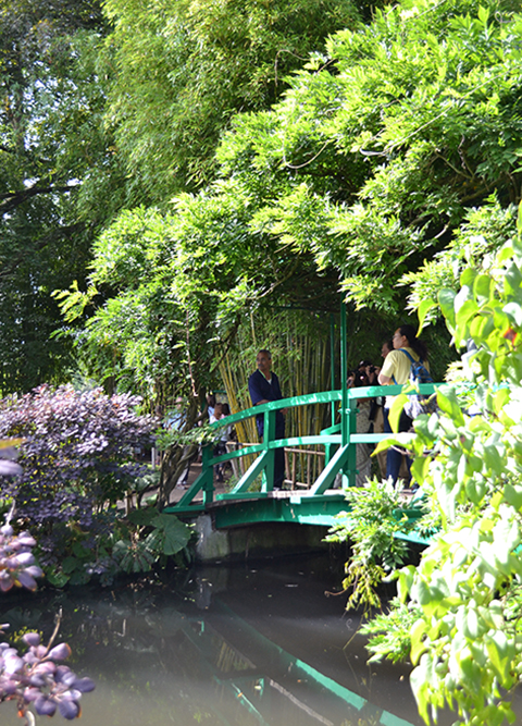 Crossing over the lily pond, Murali Rao gets a great vantage point of the entire water garden.