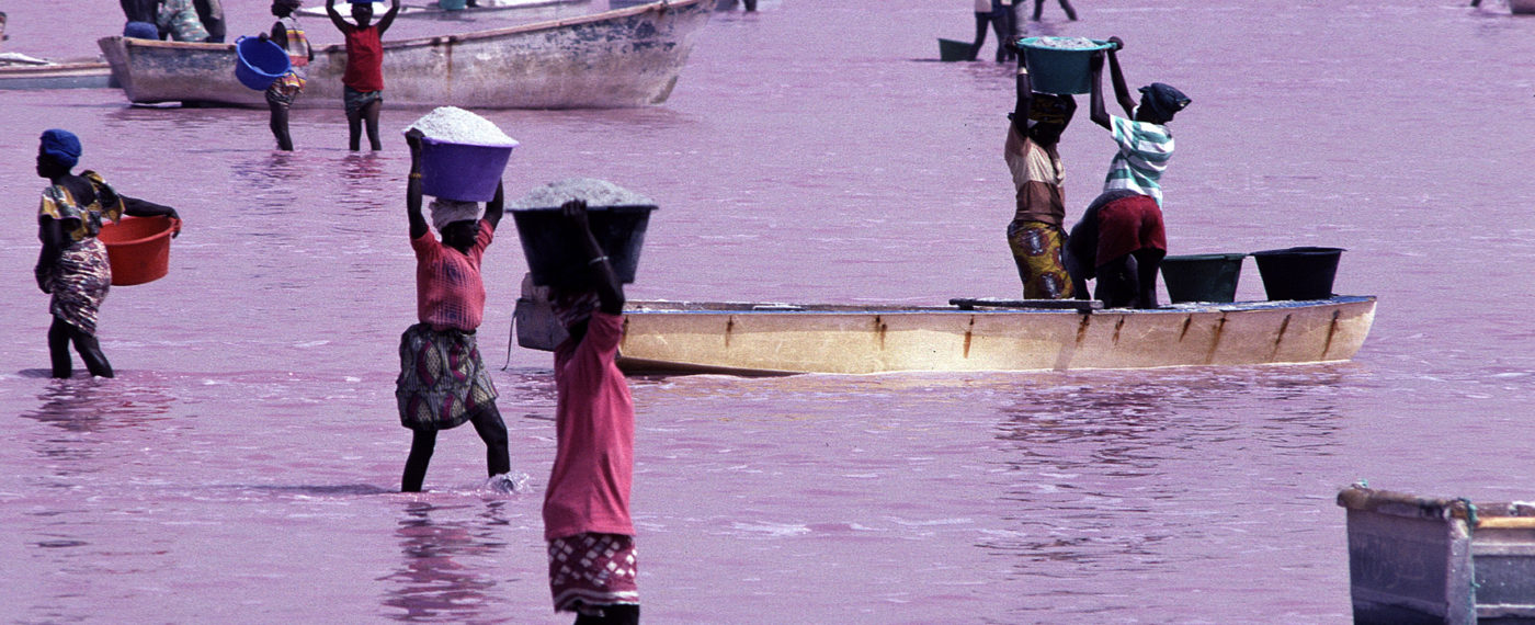 Pink Lake Retba Naming Ceremony Group D Semester At Sea Program Fee