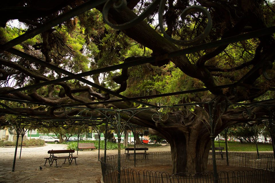 14-Portugal-Khambir