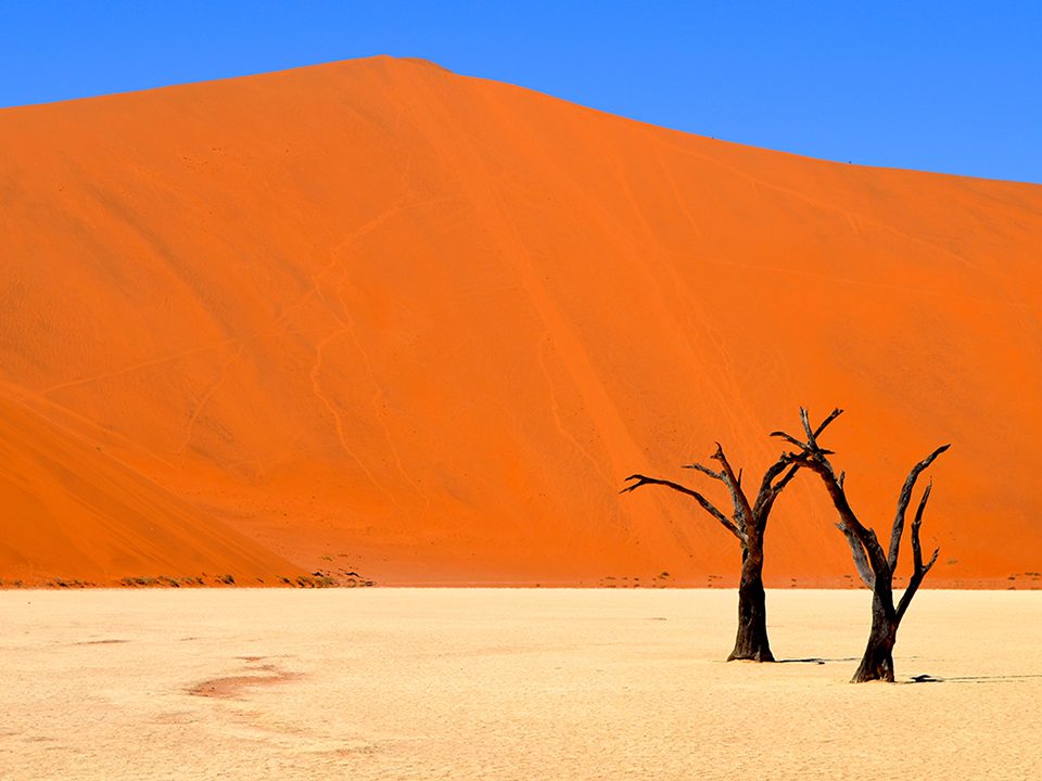 "Wallpaper World, Deadvlei, Namibia. Deadvlei means 'dead marsh' and is surrounded by some of the largest dunes in the world. The trees in Deadvlei are almost 1,000 years old." - Staff Member Valerie Ong. 
