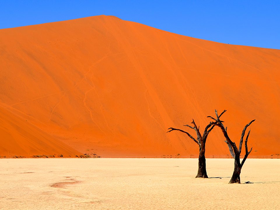 "Wallpaper World, Deadvlei, Namibia. Deadvlei means 'dead marsh' and is surrounded by some of the largest dunes in the world. The trees in Deadvlei are almost 1,000 years old." - Staff Member Valerie Ong.
