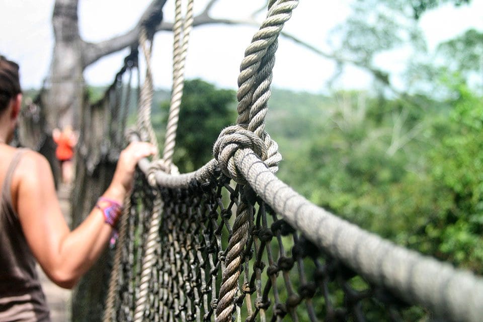 Alix Grossman - Kakum National Park-Canopy Walk