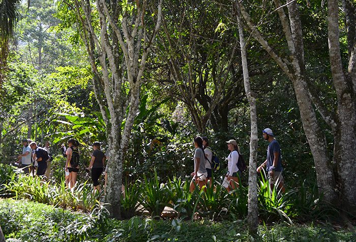 The environmental science class hikes through Parque Natural Municipal da Prainha in Brazil.