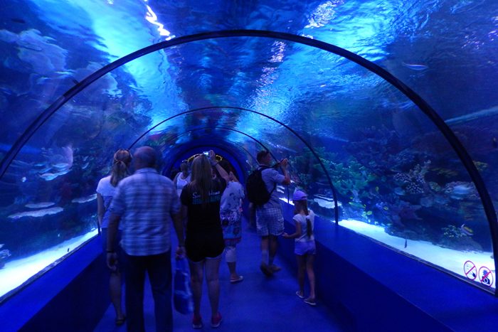 Marine Biology Field Lab