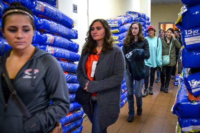 Students entered the animal shelter passing through a corridor of dog food needed to service the approximately 600 animals the facility held.