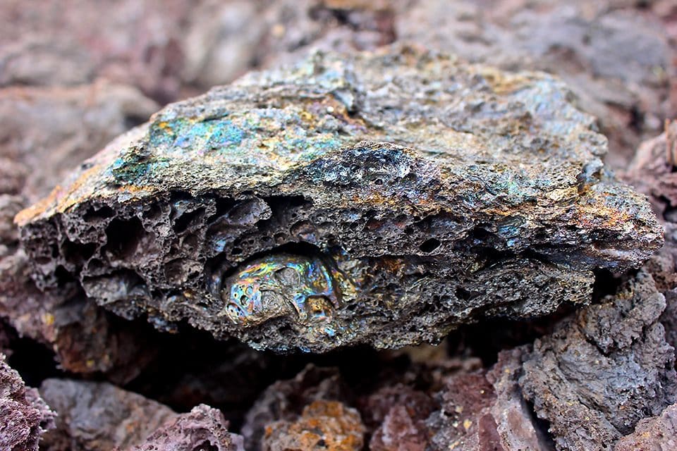 Daniel Wright from Clemson University, photographed this multicolored lava rock while on a field lab to Kƒ´lauea Volcano.