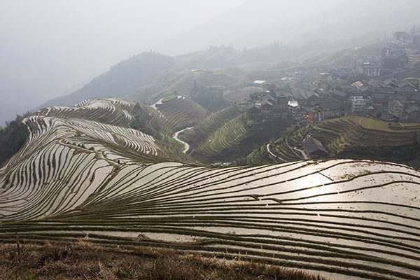 The Longji rice terraces 
