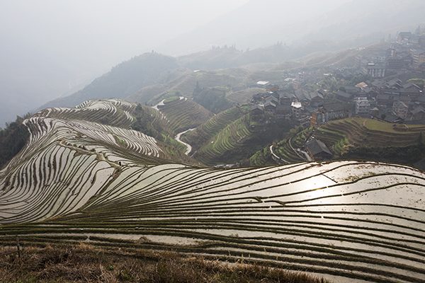 The Longji rice terraces