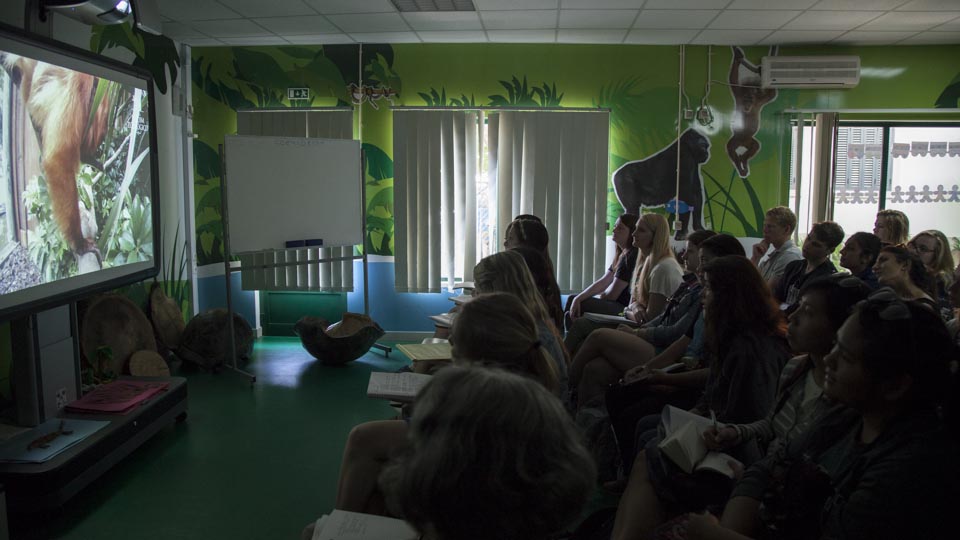 Dr. Rissman and her class watch a video detailing aspects of the zoo‚Äôs history and their role in the European Association of Zoos and Aquariaums (EAZA) which is based with three missions: conservation, research and education. 