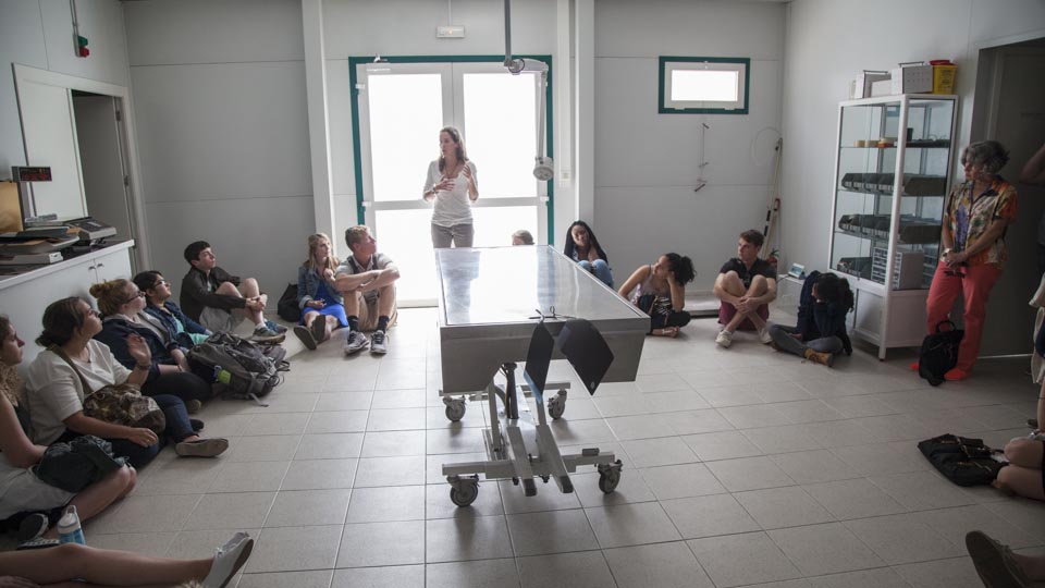 In an examination room in the veterinary clinic located inside the zoo, Dr. Teresa Fernandez, one of the zoo‚Äôs three veterinarians, answers student questions about the facility. The class was shown the entire clinic, including the operating rooms. Since 2008, Lisbon Zoo has been recognized by EAZA as the best veterinary hospital in Europe. 