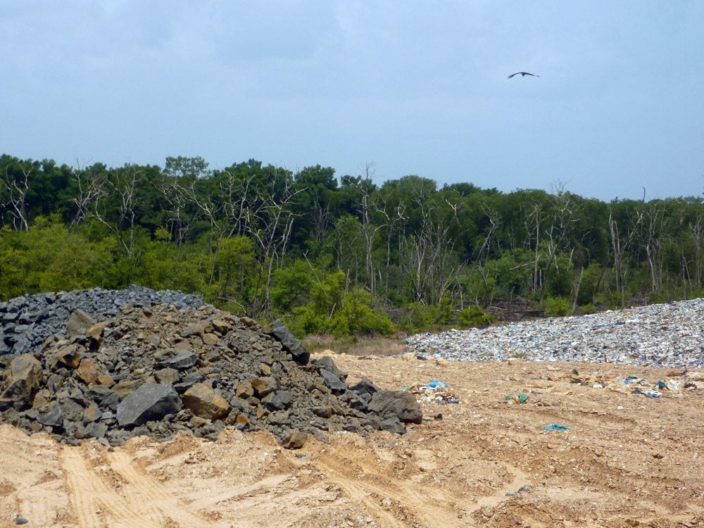 Garbage Dump Next to Mangrove Swamp