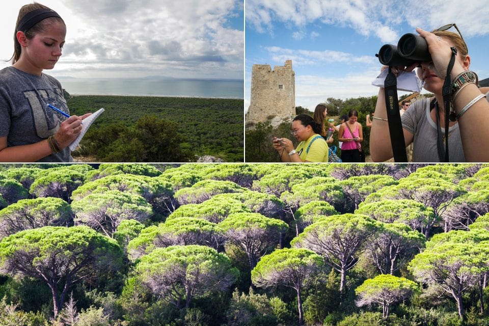 Field lab to Parco Regionale Della Maremma for SEMS 3500, Invasive Species.