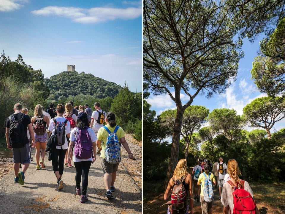 Field lab to Parco Regionale Della Maremma for SEMS 3500, Invasive Species.