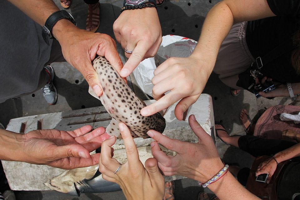 Morocco, Casablanca (Photo by Russ Bryant, Staff Photographer)
