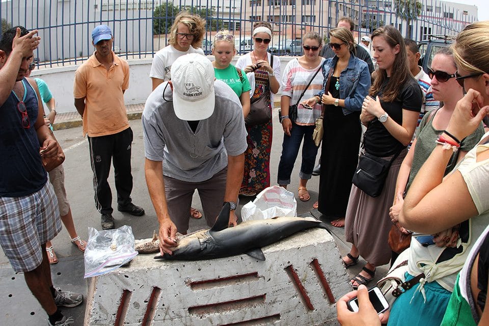 Morocco, Casablanca (Photo by Russ Bryant, Staff Photographer)