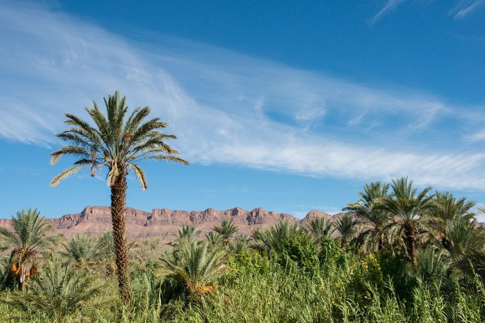 Morocco_012