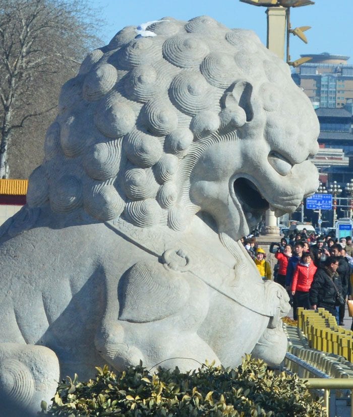SP14-Mistaken-lion