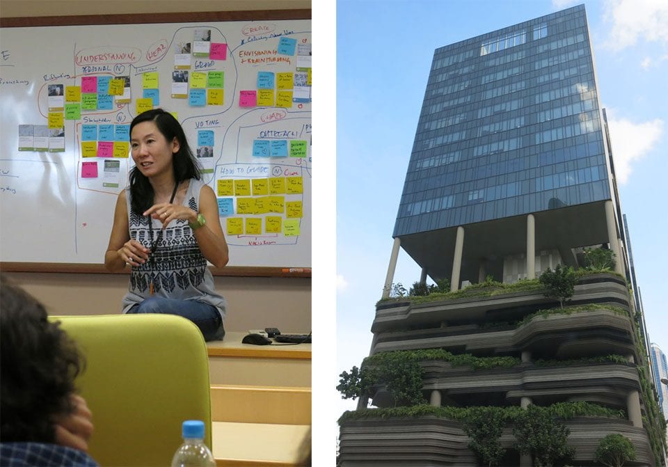 SP14-Singapore-Lee-Forest