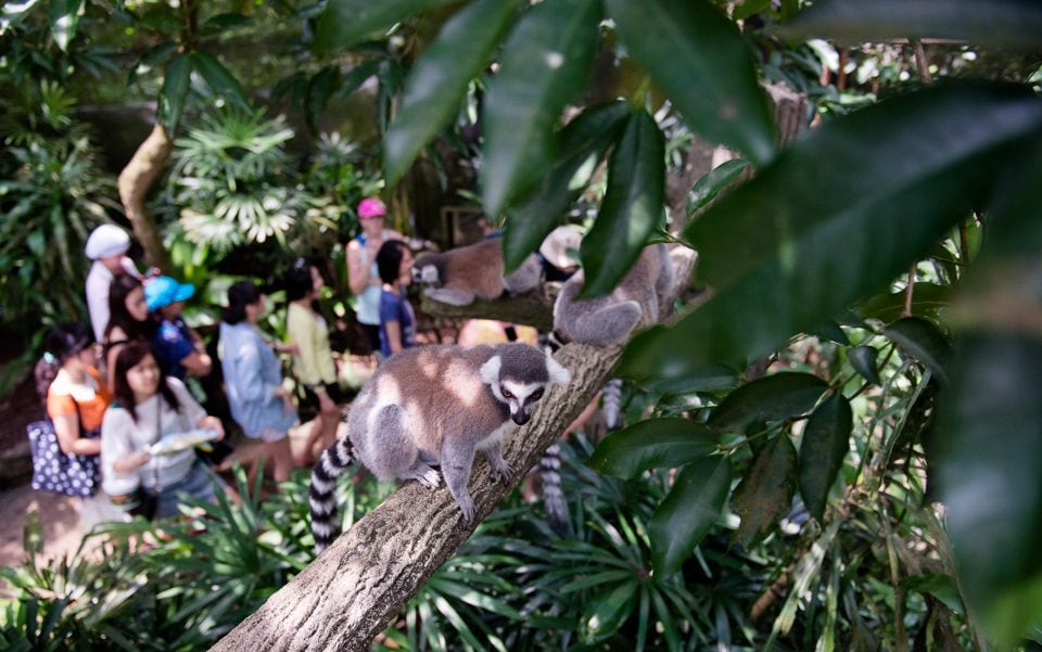 SP14-singapore-0772