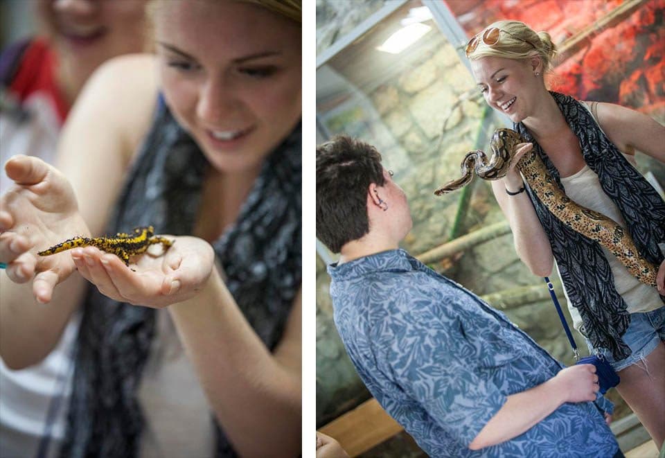 Kelly Freeman, University of Washington, pictured at right with Lance Jones of Western State College, was first to jump in and hold a few friends with scales. Bright yellow salamanders are native to this region but many snakes are imported and then set free like they are in the United States. 