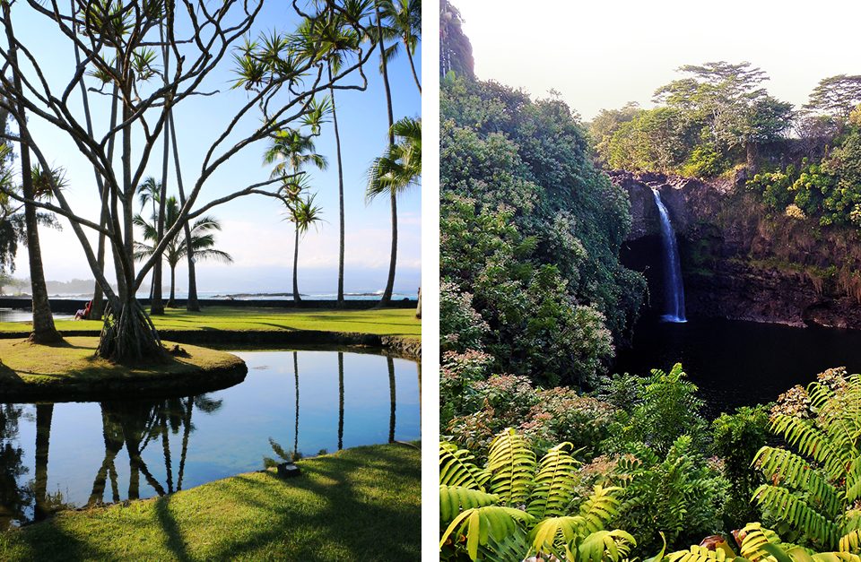 Vertical-pair-Hawaii2