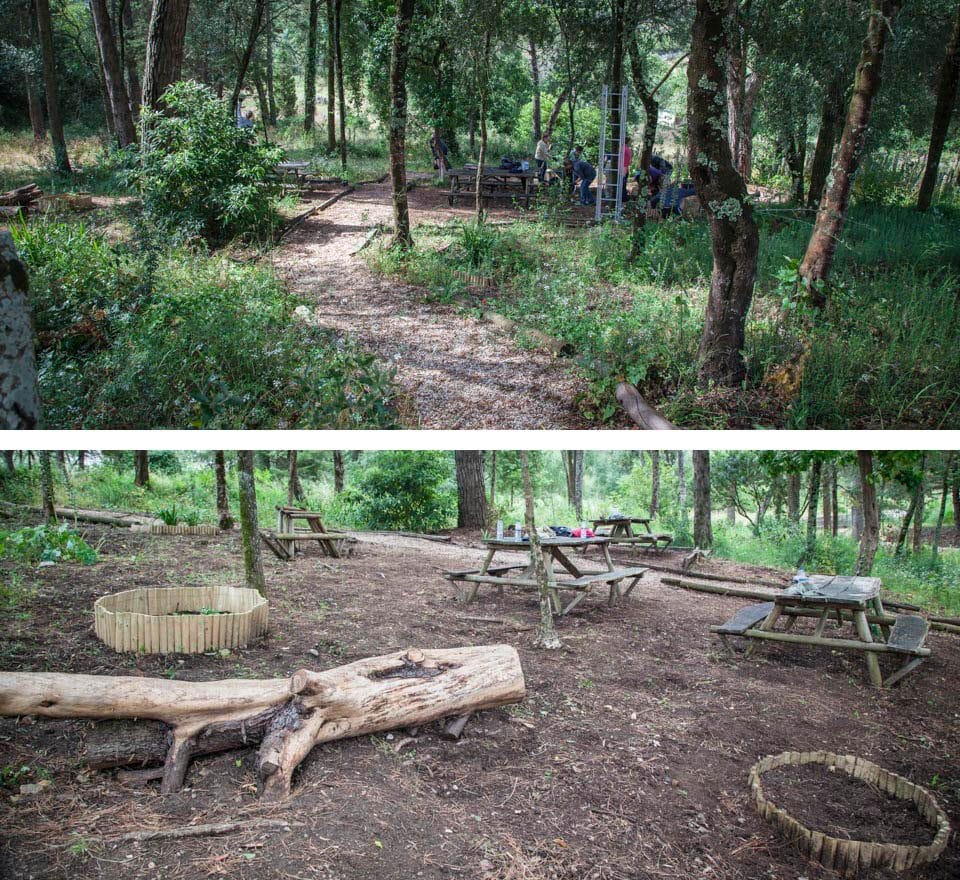 Clearing brush away from a picnic area was made easier with several helping hands.