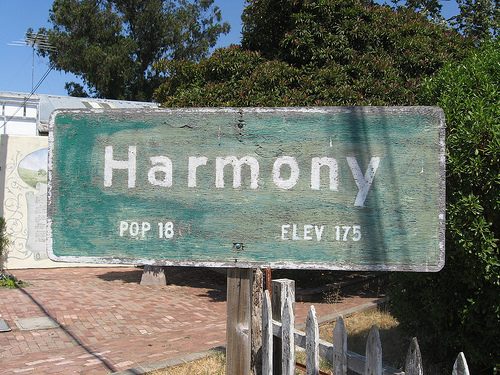 Harmony Semester at Sea's new ERP system will add harmony to operations