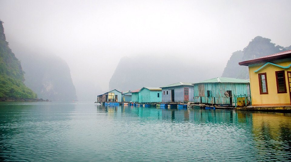 Scott Minard from Chapman University took this photograph of a floating village in Halong Bay from a kayak. "This was one of the most picturesque and serene places I have been in my entire life."