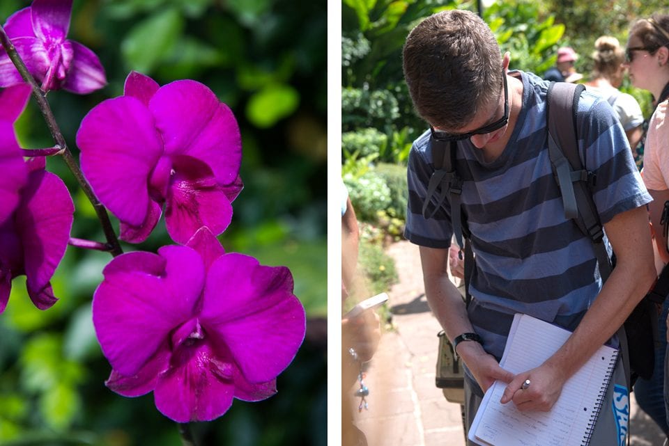orchids-taking-notes