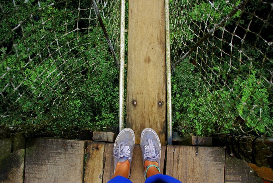 sarah_cady_Canopy walk