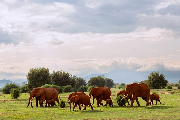 Kenya