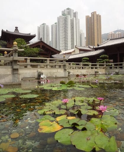 A peaceful pond filled with lily pads and pink flowers is framed by stone walls and pagodas with sloping, tiled roofs. Skyscrapers loom in the distance.