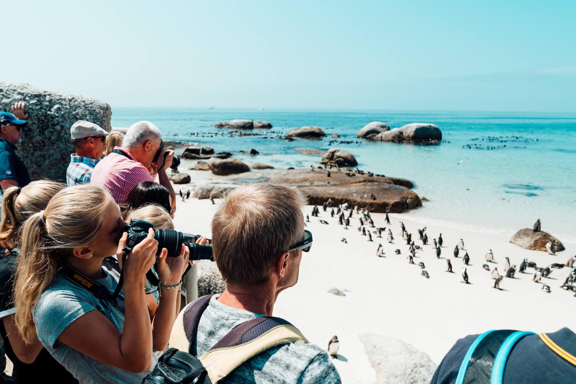 A group of people holding cameras stand looking toward a rocky, white sand beach teeming with penguins. Turquoise ocean water stretches to the horizon in the background.