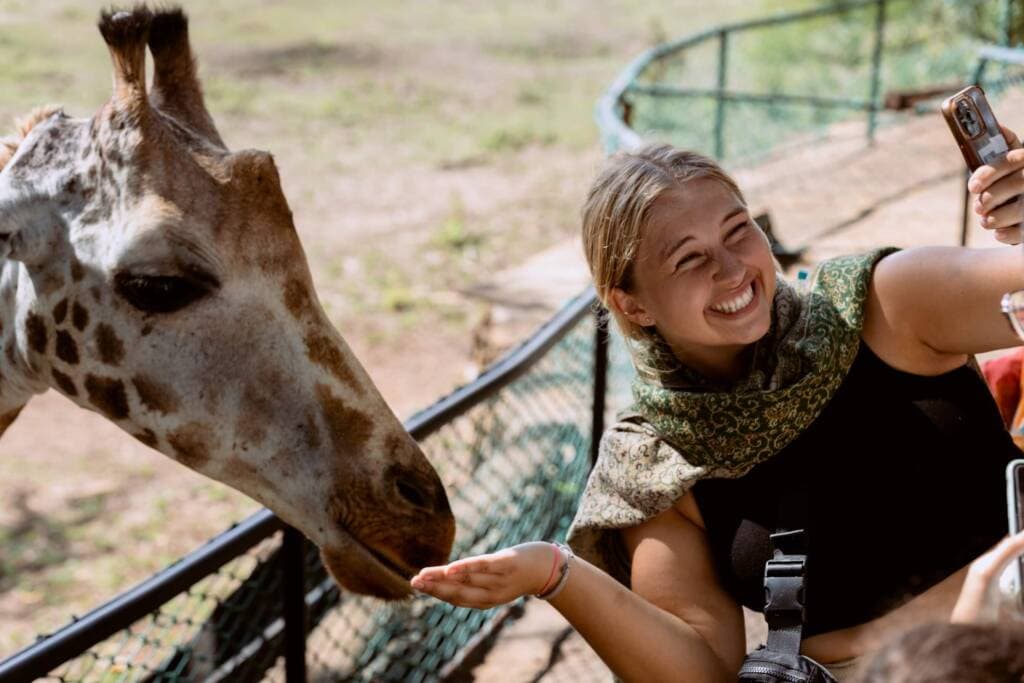 A young blonde woman feeds a giraffe from her hand while smiling for a selfie.