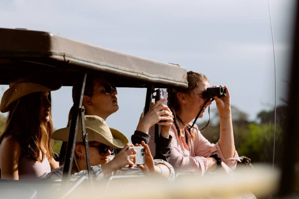 four students use cameras and binoculars to view animals from a safari jeep