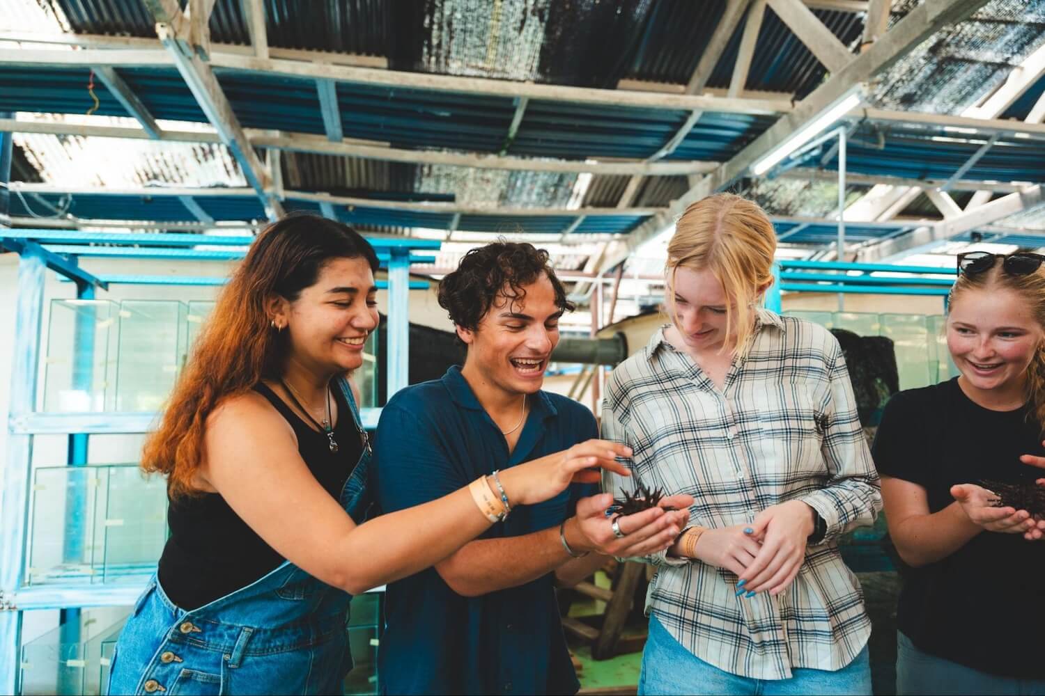A group of four students interacting and smiling while holding and examining sea creatures in a marine facility.