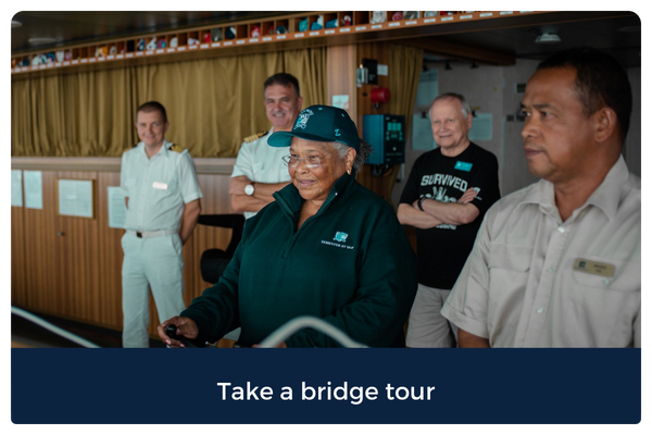 Take a bridge Tour